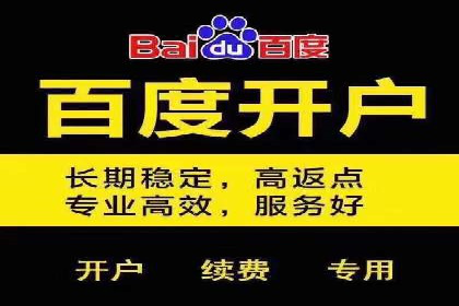 某品牌的信息流广告投放策略及效果展示